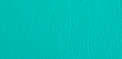 Tiffany Blue – Elephant Grain