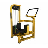 Apollon Fitness Rotary Torso sprava za rotaciju trupa sa težinskim blokovima, zlatnom konstrukcijom i crnim tapaciranim sedištem, namenjena treningu kosih trbušnih mišića i jačanju core muskulature.
